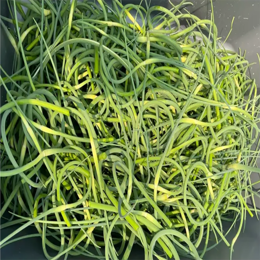 Garlic Scapes by the pound