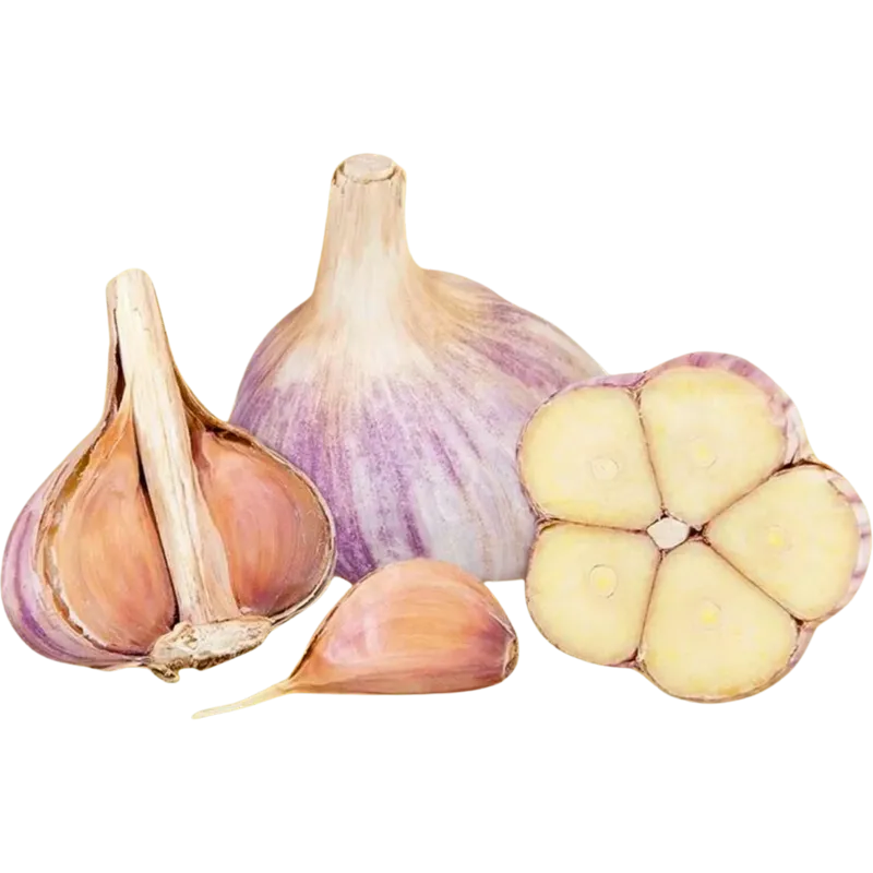 Music Garlic Bulbs for sale