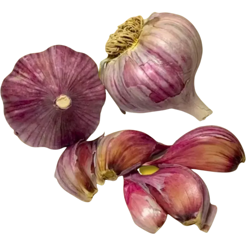 Garlic Bulbs – Gourmet Garlic from KG Farms