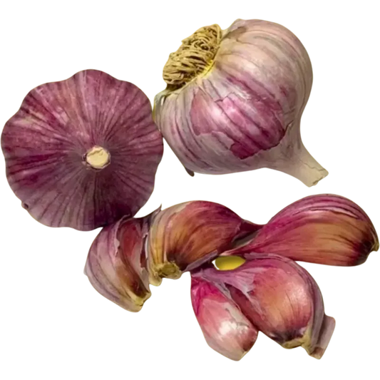 Garlic Bulbs for sale
