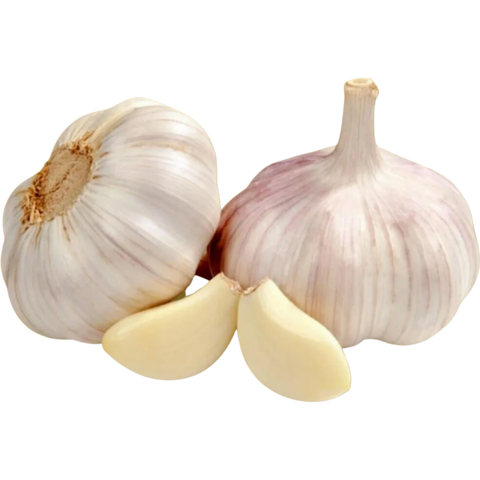 German White Garlic Bulbs for sale